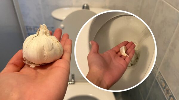 Diente de ajo, tíralo al inodoro antes de dormir: extraordinario lo que pasa