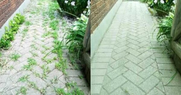 ¡Dile adiós a las malas hierbas con este herbicida 100% natural!