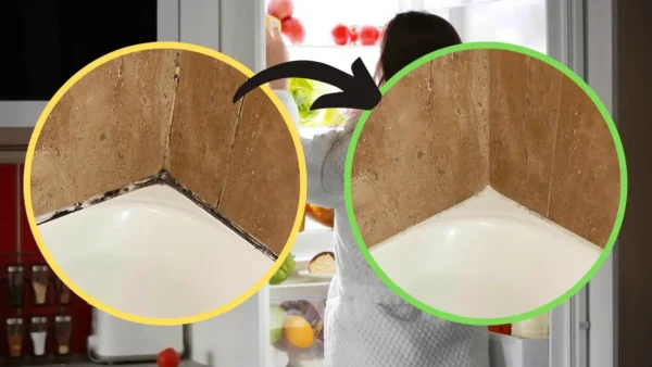 Ducha, adiós moho de las pistas: con este ingrediente vuelve a estar impecable | Como nuevo