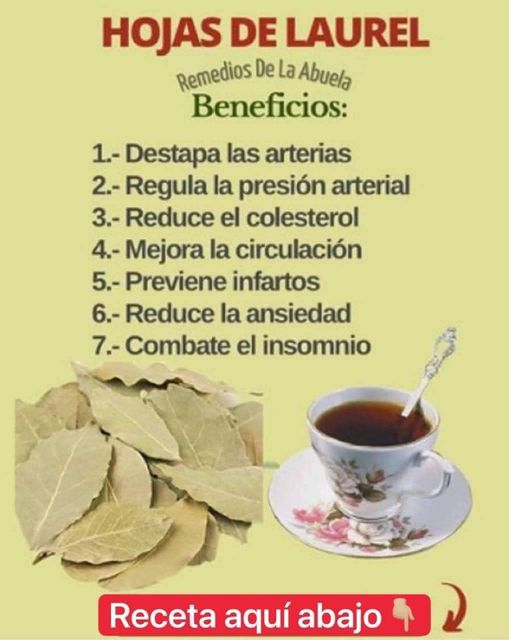 ESTA HOJA DE LAUREL ES UNA BENDICIÓN DE DIOS: COMBATE INSOMNIO, PRESIÓN ALTA, AZÚCAR Y GRASA EN LA SANGRE!!