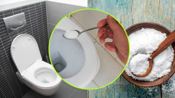 Echa un poco de sal en el inodoro: lo que pasa te dejará sin palabras
