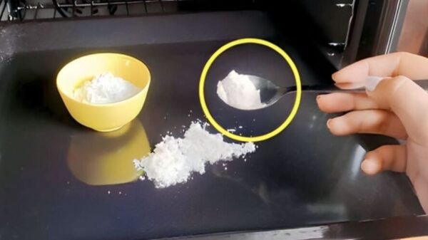 El Secreto de la Sal para un Horno Reluciente: Limpieza Efectiva y Natural