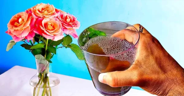 El consejo de los floristas para almacenar flores cortadas durante 1 mes o más