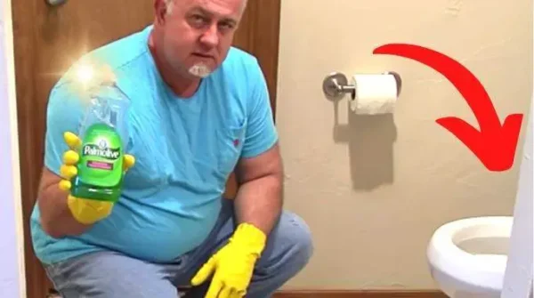 El consejo del fontanero para desatascar el inodoro con jabón para platos