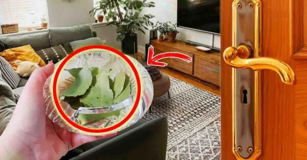 El ingenioso truco para perfumar tu hogar de forma natural y eliminar los malos olores