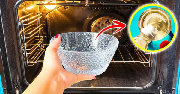 El truco de magia para limpiar todo el horno con el método del bol: brillará con limpieza