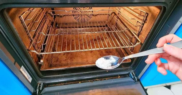 El truco de magia para quitar la grasa incrustada del horno: no hace falta fregar
