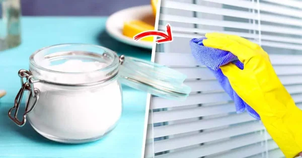 El truco definitivo para limpiar persianas y quitar todo el polvo incrustado