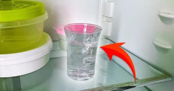 El truco del vaso de agua para eliminar los malos olores de la nevera y dejar un agradable perfume