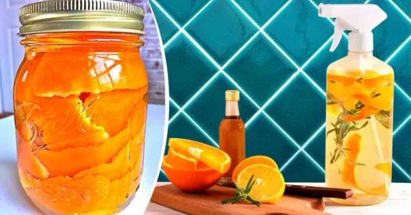 El truco genial para limpiar a fondo la casa y hacer desaparecer la suciedad