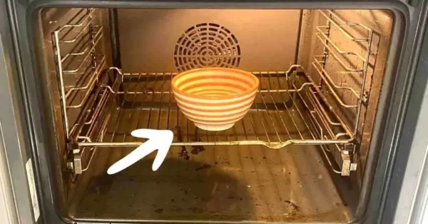 El truco genial para quitar la suciedad incrustada del horno