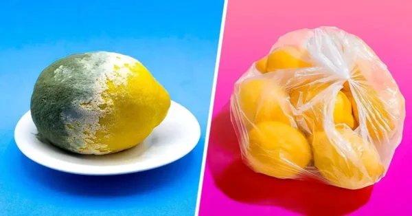 El truco para almacenar limones durante 3 meses o más y evitar que se pudran