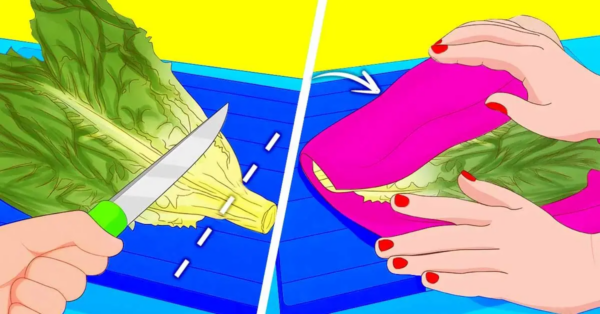 El truco para mantener la lechuga fresca y crujiente durante 3 semanas