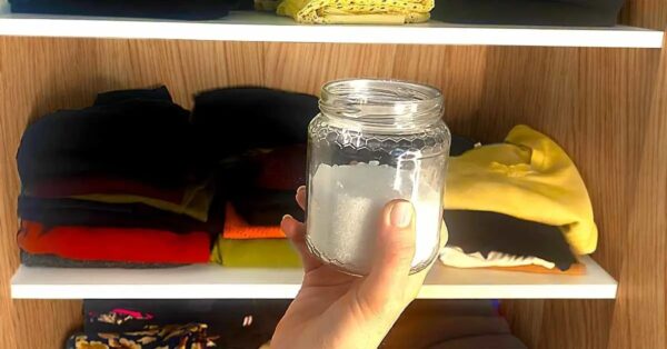 El truco que funciona para dejar de tener olor a humedad en el armario