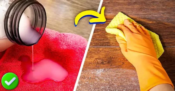 El truco secreto de los museos para evitar que el polvo se deposite en los muebles durante 1 mes