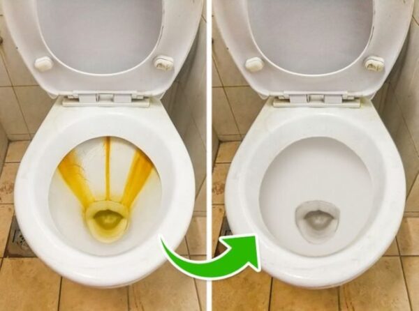 Elabora tu Propio Limpiador Ecológico para el Inodoro: Una Alternativa Saludable y Económica