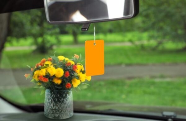 Elimina los malos olores en tu coche: aquí tienes un excelente ambientador casero en tan solo unos pasos