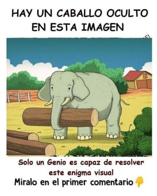 Encuentra el caballo en esta foto.