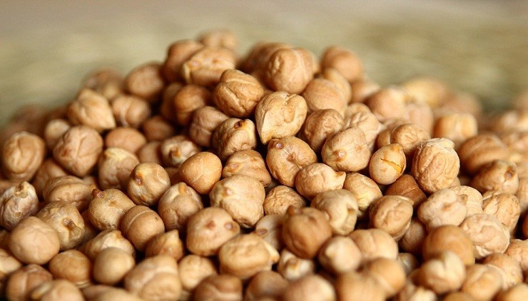 garbanzos en plantas