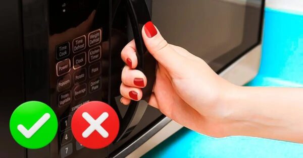 ¿Es peligroso abrir la puerta del microondas mientras está en funcionamiento?