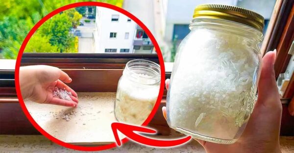 Espolvorear sal en los alféizares de las ventanas: la solución genial a un problema que todos tenemos