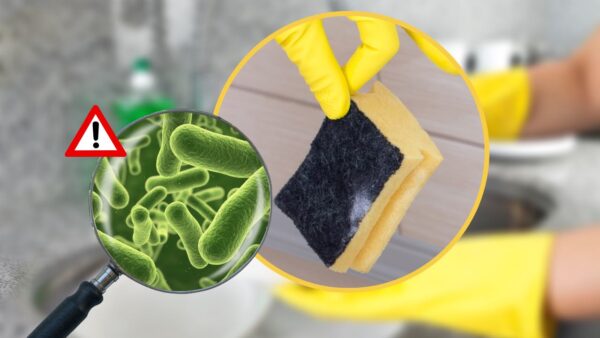 Esponja para platos llena de bacterias, más sucia que el inodoro: sólo así acabarás con ellas para siempre