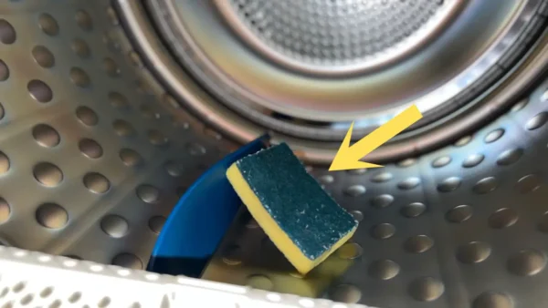 Esponja para platos, métela en la lavadora: porque te ahorra dinero a fin de mes