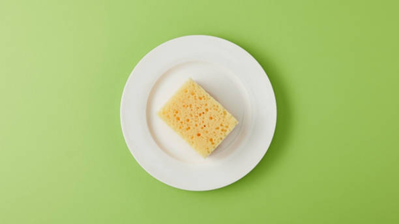 esponja para platos