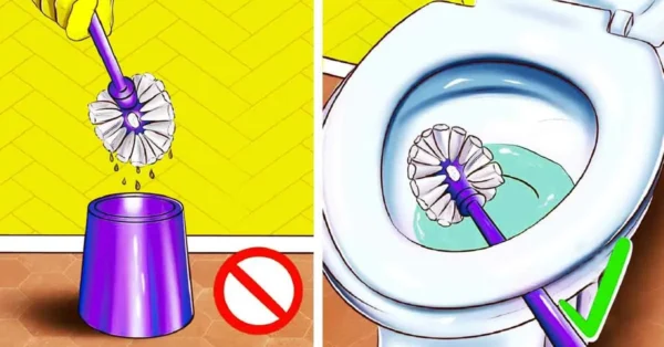 Esta es la forma correcta de limpiar la escobilla del inodoro para eliminar la suciedad y las bacterias.
