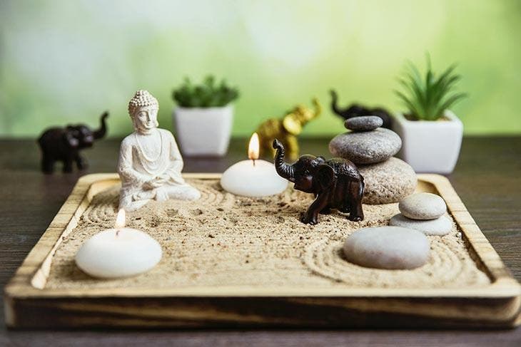 Voici ce qui arrive quand un cactus pousse dans votre maison 2 Atmósfera Feng Shui