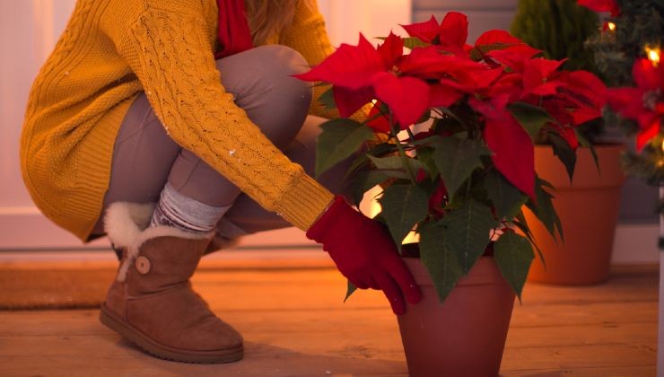 Estrella navideña en el rellano