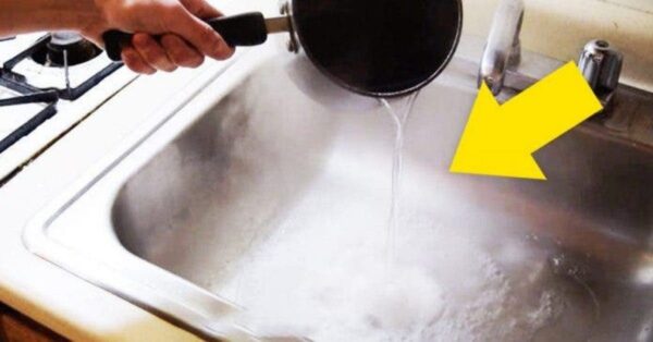 Fantástico truco para encontrar un baño limpio y saludable.