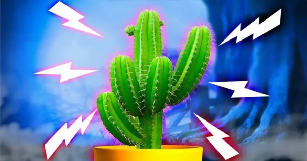 Flores que no debes tener en casa bajo ningún concepto. Solo atraen mala suerte y problemas.