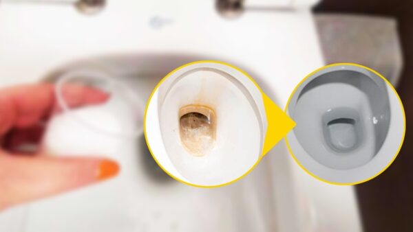 Fondo del inodoro amarillento, corre a la cocina para deshacerte de él inmediatamente: solo una gota es suficiente