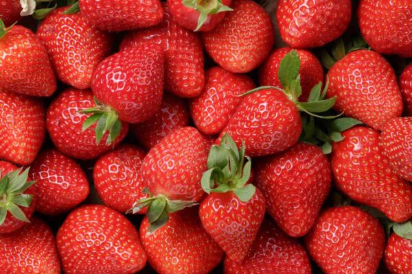 Fresas en maceta: todos están locos por esta deliciosa idea, así es como se hace