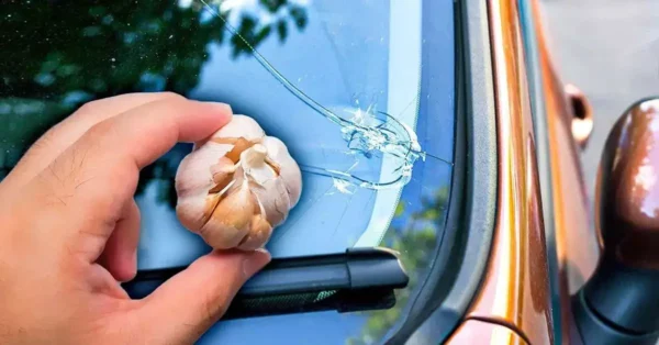 Frotar un diente de ajo en el parabrisas: mucha gente lo hace por una razón crucial
