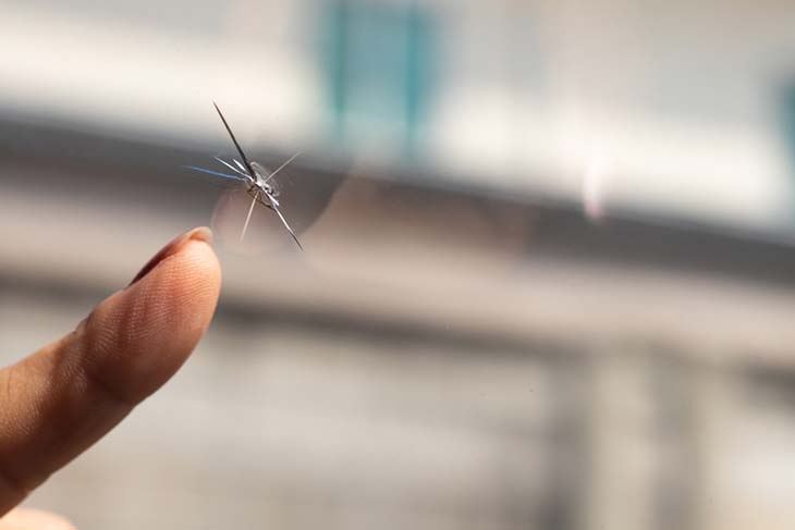 Parabrisas agrietado