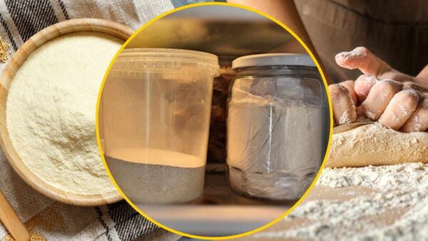 Harina en el congelador, este gesto muy sencillo te salva la vida en 1 minuto: pruébalo y verás