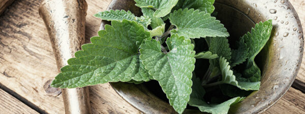 Hierbabuena con Limón