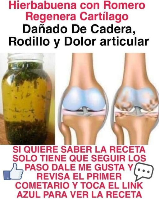 Hierbabuena con romero regenera cartílago dañado de cadera y rodilla