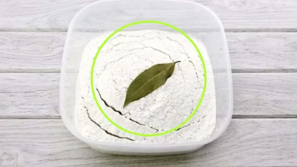 Hoja de laurel en harina, por qué utilizarla así: los beneficios