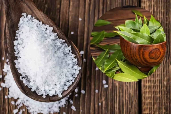 Hojas de laurel y sal: ¡una mezcla que vale su peso en oro! ¡Mi abuela me enseñó a usarlo así!