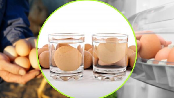 Huevos, sumergirlos en agua y ver: si esto sucede, desecharlos inmediatamente