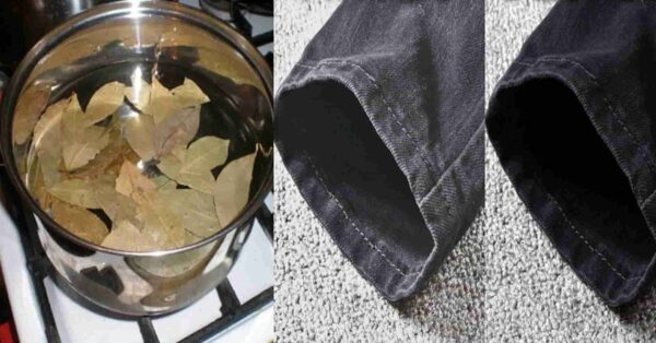 Ingredientes naturales para revivir el brillo de una prenda desgastada