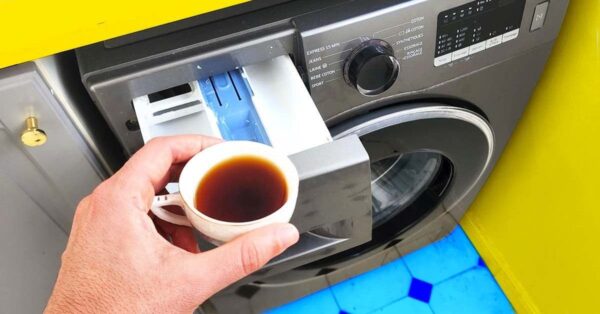 Ingredientes naturales y económicos para evitar la decoloración solar e intensificar la profundidad del negro.