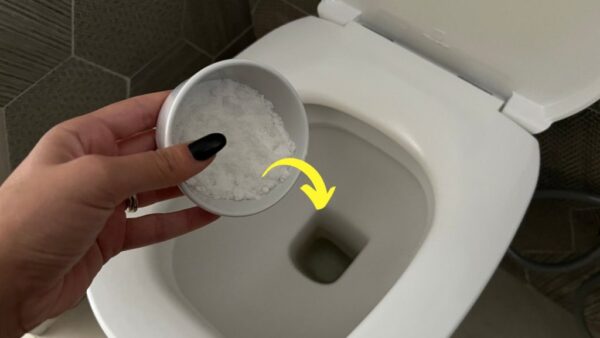 Inodoro fresco y muy fragante, el remedio natural más potente que existe