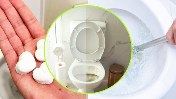 Inodoro maloliente, solo necesitas estas bombas para dejarlo limpio y con un olor fresco | Muy simple