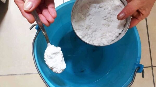La Magia del Bicarbonato: Un Remedio Natural para una Casa Limpia y Fragante