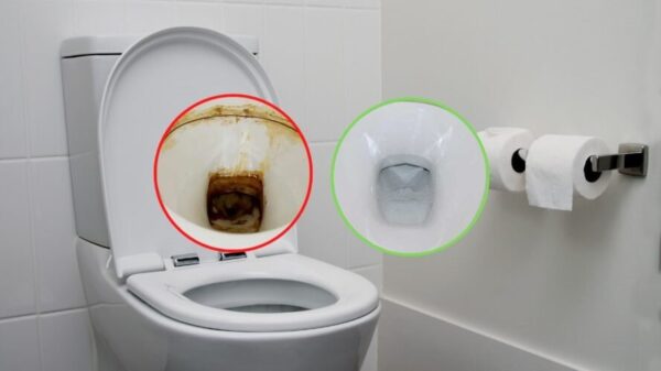 La Solución Mágica para un Inodoro Reluciente: Limpieza Profunda y Duradera