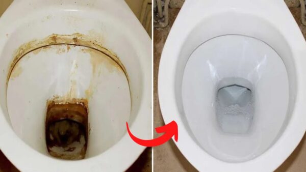 La cal rebelde del inodoro desaparece con este ingrediente